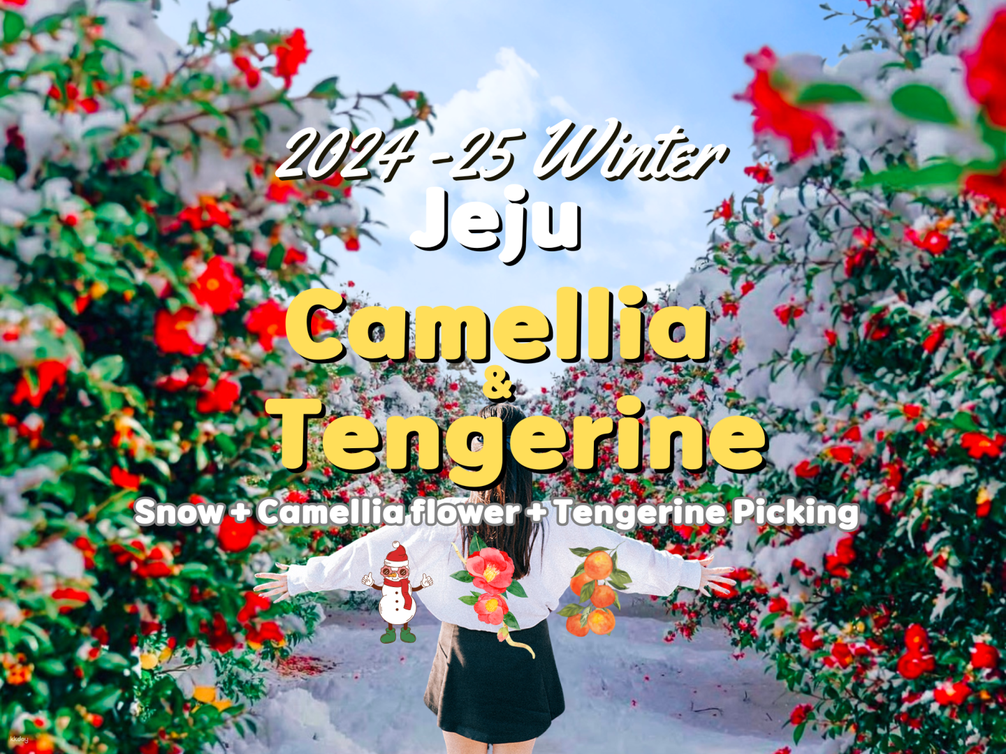 25-26 Winter Jeju (Camellia  festival+ Tengerine pick + Snow) 1-day Tour | Korea - Photo 1 of 5